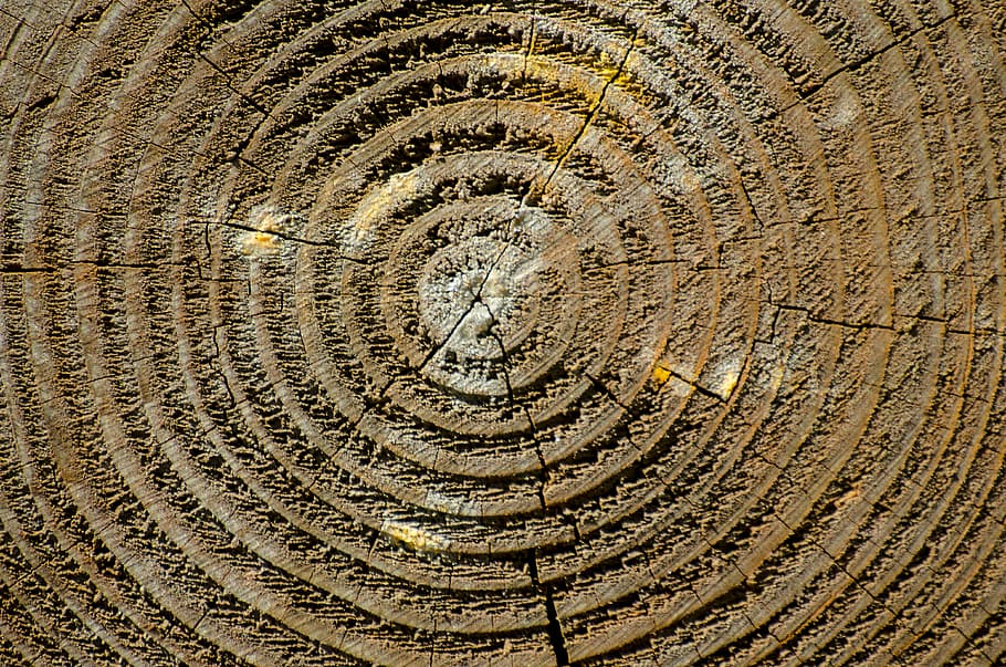 wood, texture, background, wood texture, wooden, timber, pattern HD wallpaper