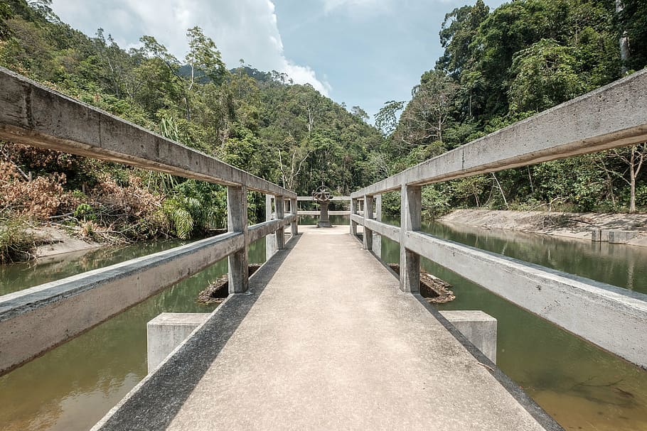 architecture, bridge, forest, green, guidance, lake, landscape HD wallpaper