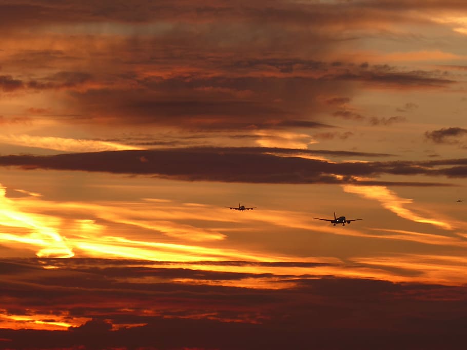 two aircraft at sky during sunset, two flying planes above clouds during golden hour HD wallpaper