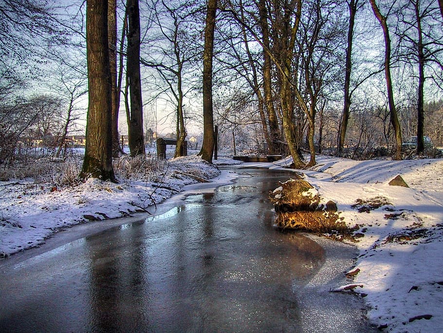 bare tree and river under blue sky during daytime, winter, snow HD wallpaper