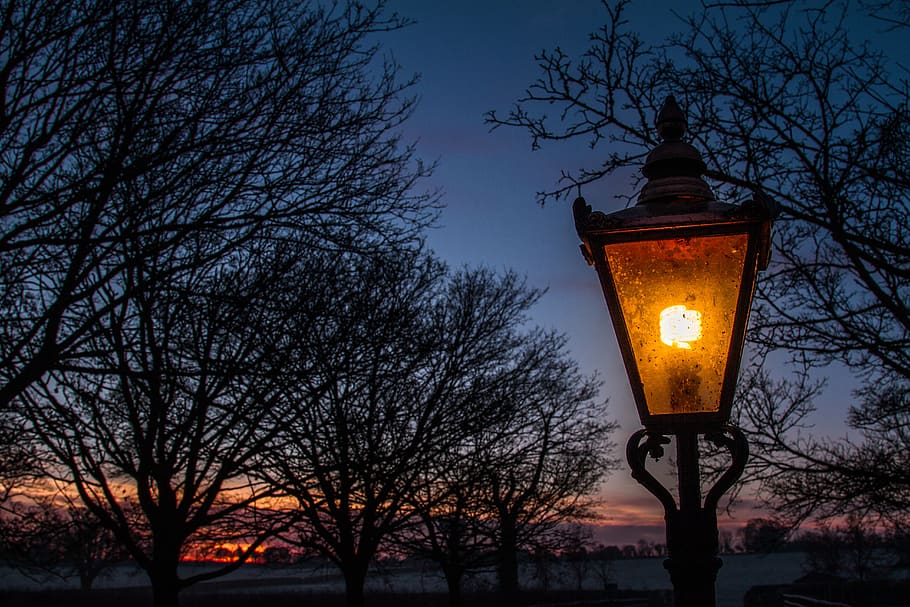 lamp, moody, wonderland, antique, lantern, night, lights, fog