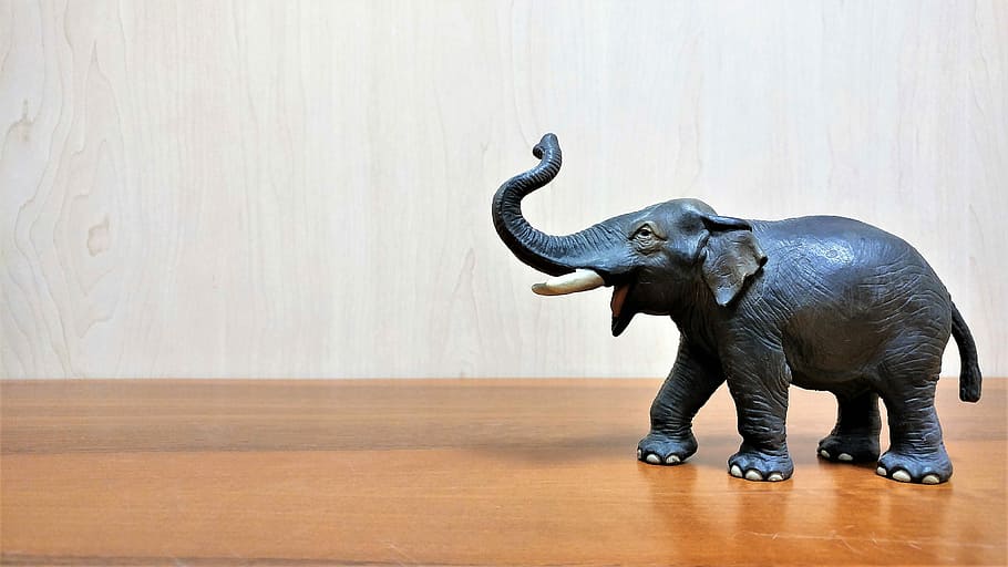 elephant, wallpaper, plastic, proboscis, animal wildlife, mammal HD wallpaper