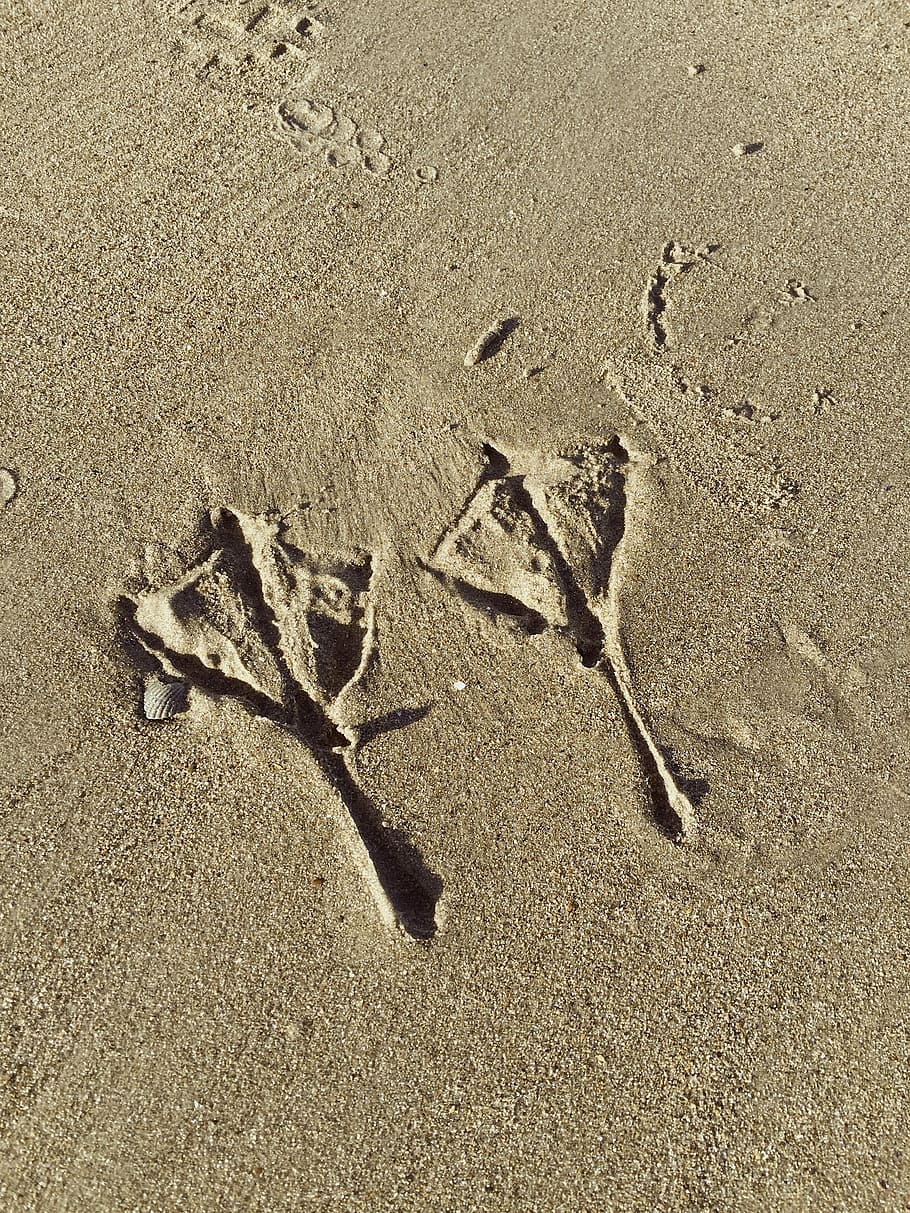 sand, beach, footprint, sandy, land, nature, high angle view HD wallpaper