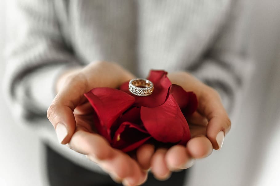 person holding red petaled flower and silver-colored ring, person holding red ribbon with silver-colored ring HD wallpaper