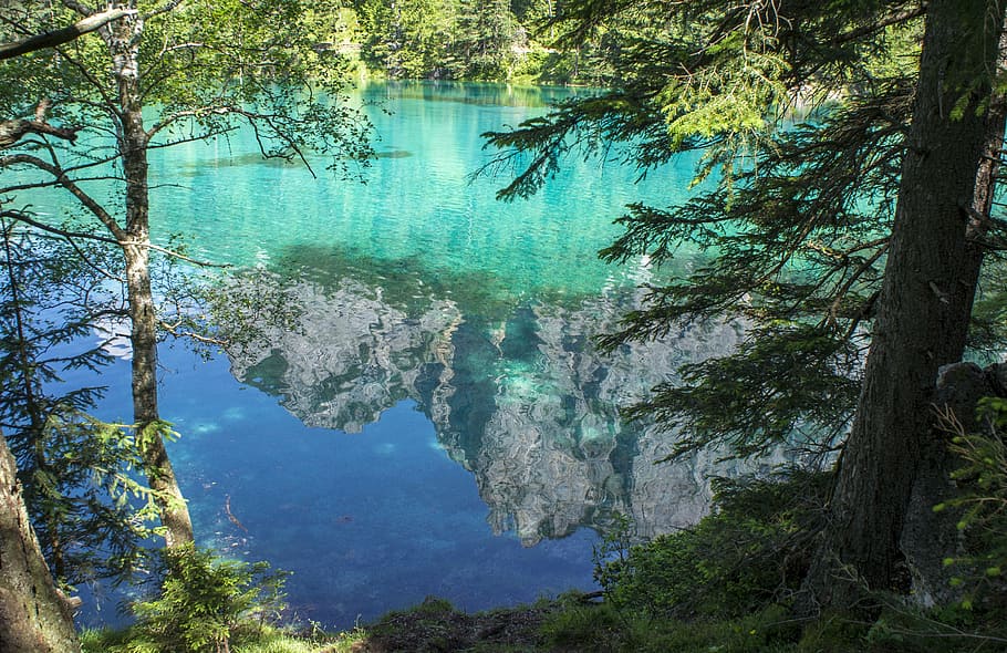 green lake, tragöss, upper styria, tree, water, plant, tranquility HD wallpaper