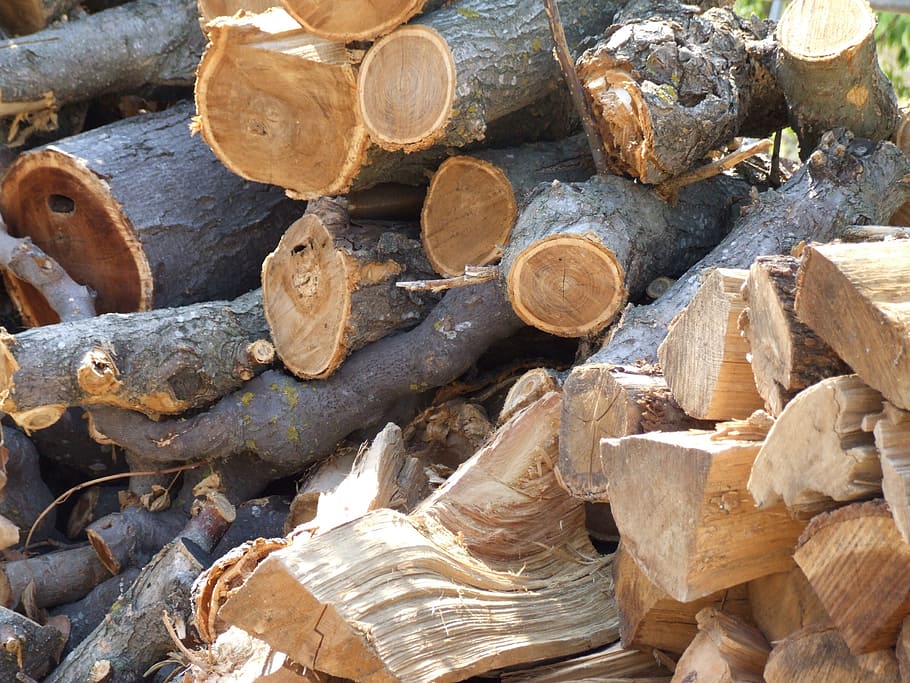 tree, material, wood, tree trunk, nature, texture, timber, log HD wallpaper