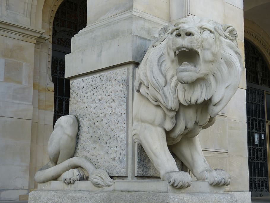 Lion, Sculpture, Statue, Stone, Hanover, town hall, new town hall HD wallpaper