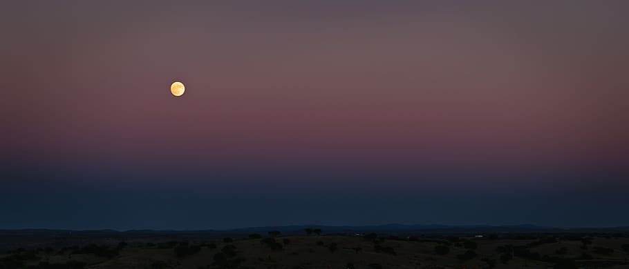 Moon on Low Angle View Photography, clouds, dark, evening, landscape HD wallpaper