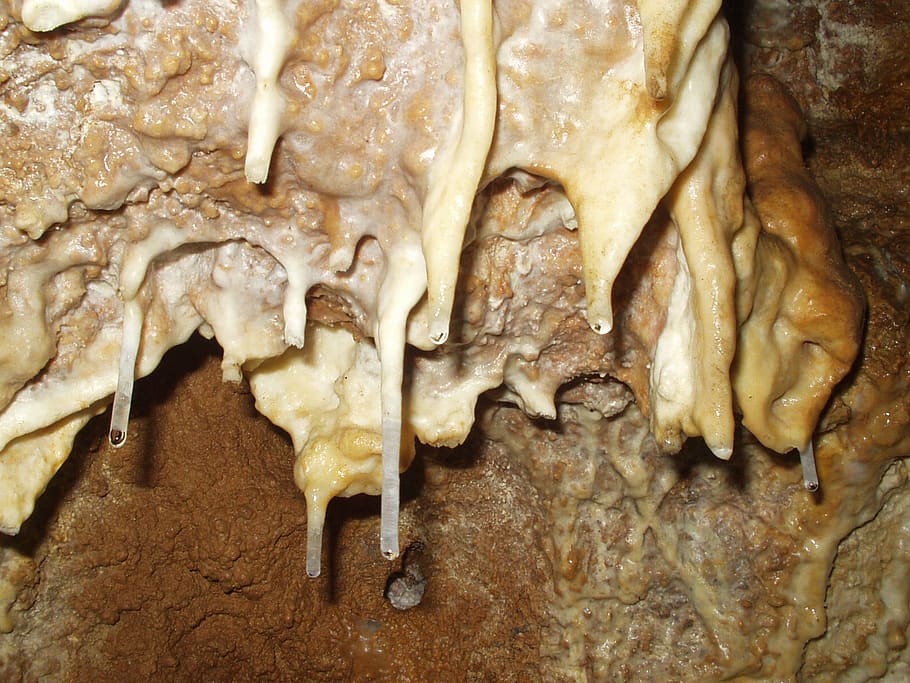 speleothems, cave, drip, lime, food and drink, freshness, close-up HD wallpaper