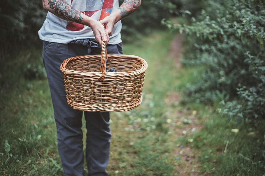 woman carrying basket, person holding brown wicker basket, hands HD wallpaper