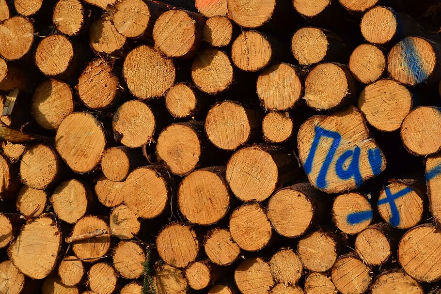 wood stack, tree, saw, log, cases, make wood, full frame, large group of objects HD wallpaper