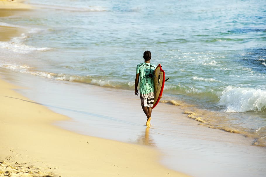 beach, fun, landscape, leisure, man, ocean, outdoors, person HD wallpaper