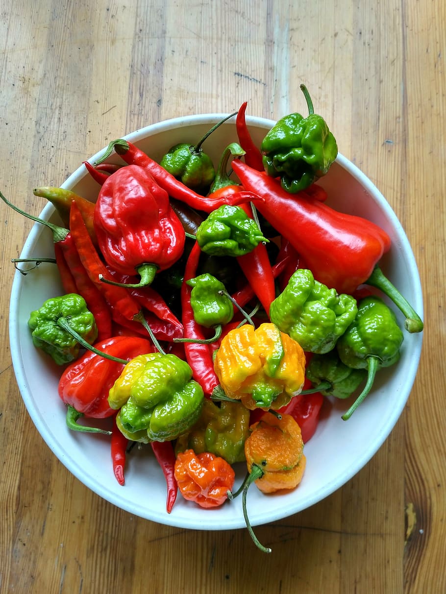 assorted chili peppers on white ceramic bowl, spicy peppers, habanero, HD wallpaper