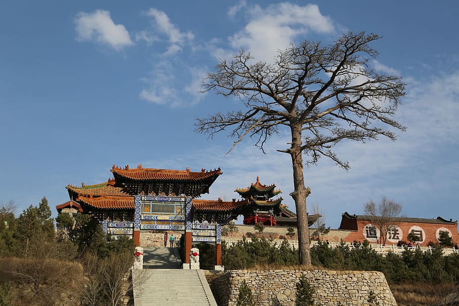 Shanxi, Temple, Trees, sky, bare tree, built structure, architecture HD wallpaper
