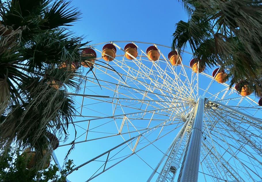 Ferris Wheel, Carousel, sky, blue, gondola, palm trees, amusement park HD wallpaper