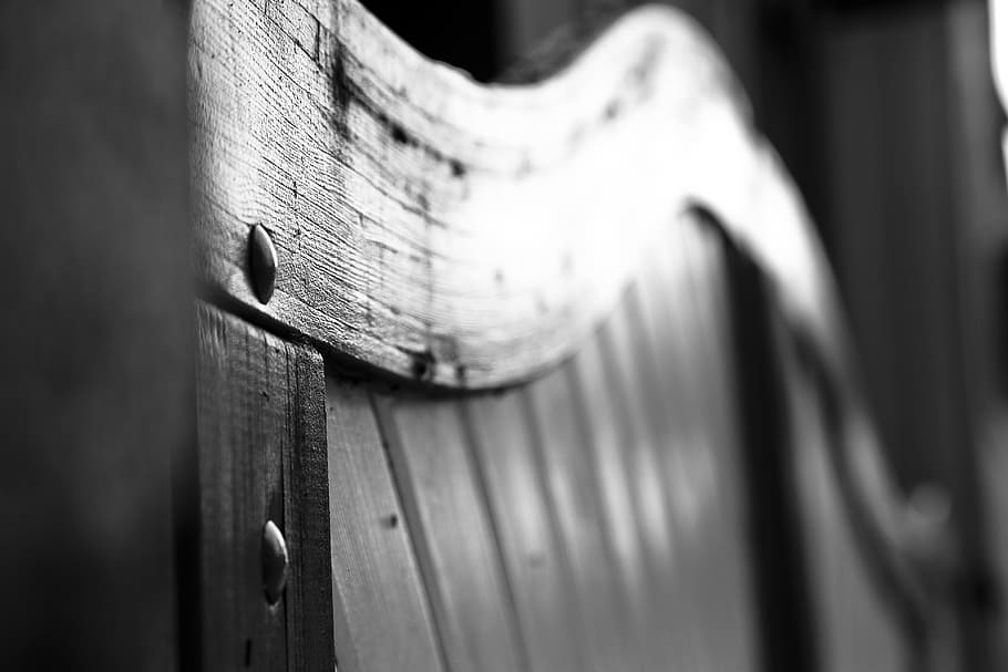 Wood, Structure, Surface, Door, background image, texture, black And White HD wallpaper