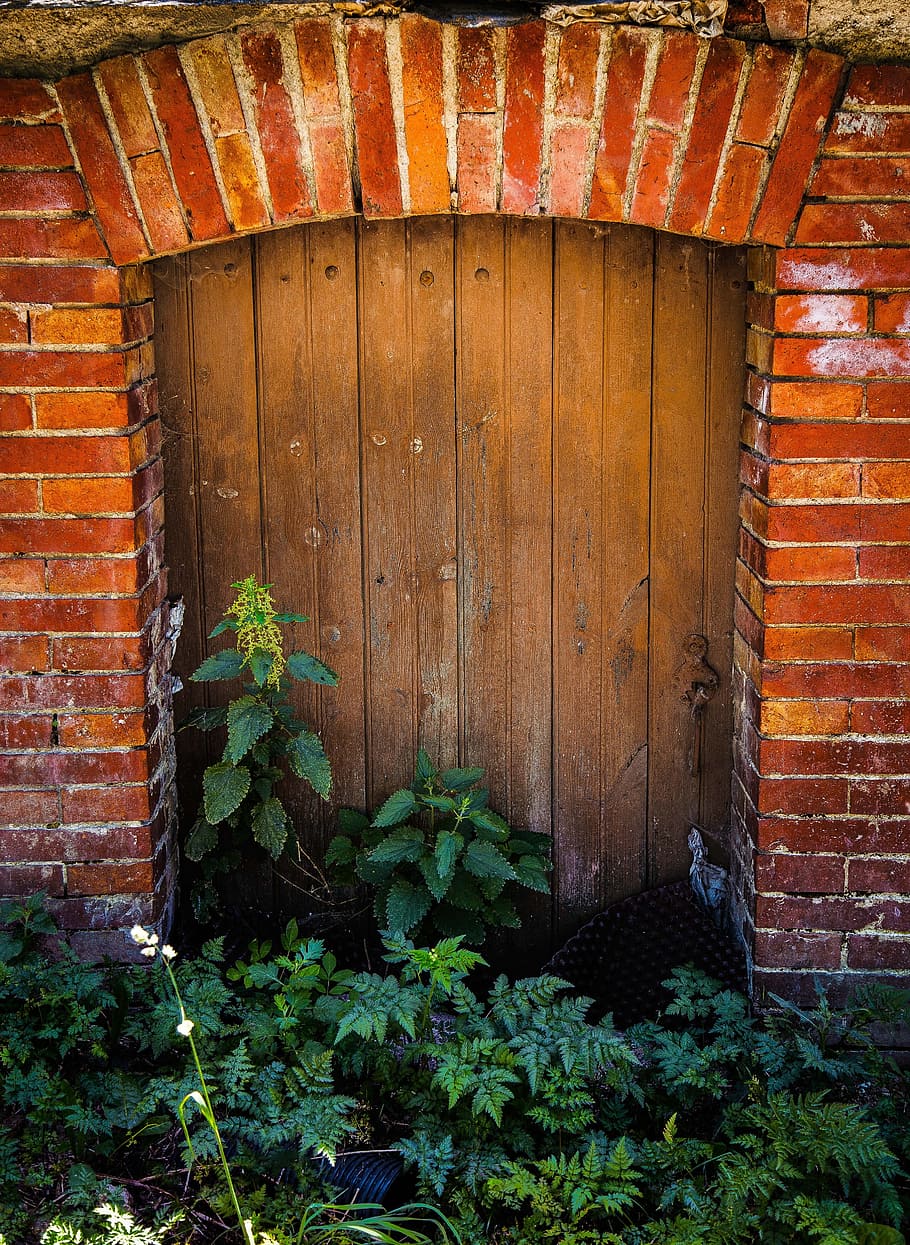 door, plant, bricks, red, spain, pyrénées, architecture, wood - material HD wallpaper