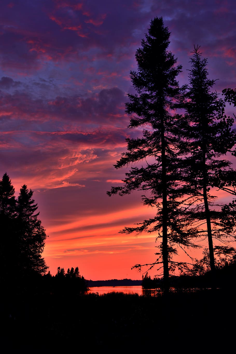 sunset, colors, trees, nature, clouds, twilight, summer, québec HD wallpaper