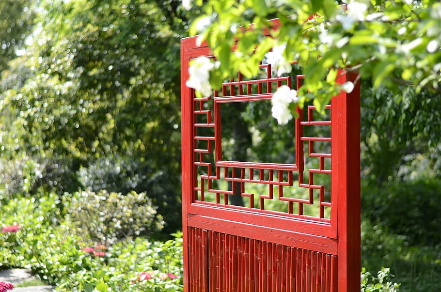 door, flower, tree, red, plant, day, nature, focus on foreground HD wallpaper