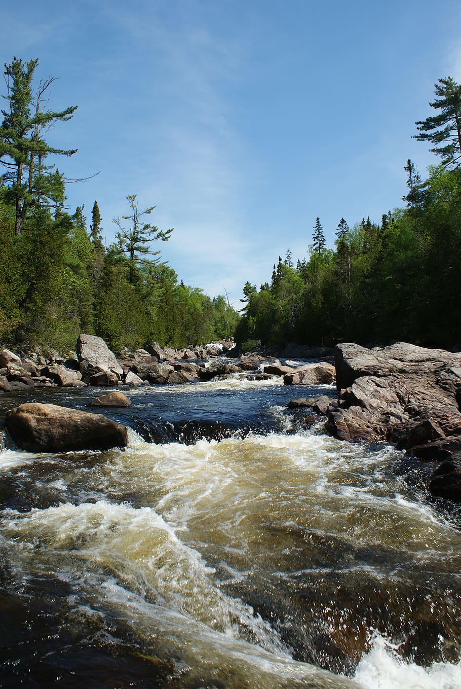 river, stream, nature, scenery, water, tree, plant, beauty in nature HD wallpaper