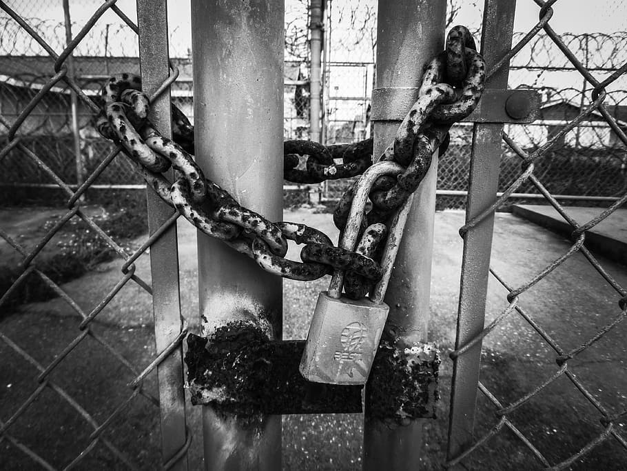 grayscale photography of gate with padlock, security, locked