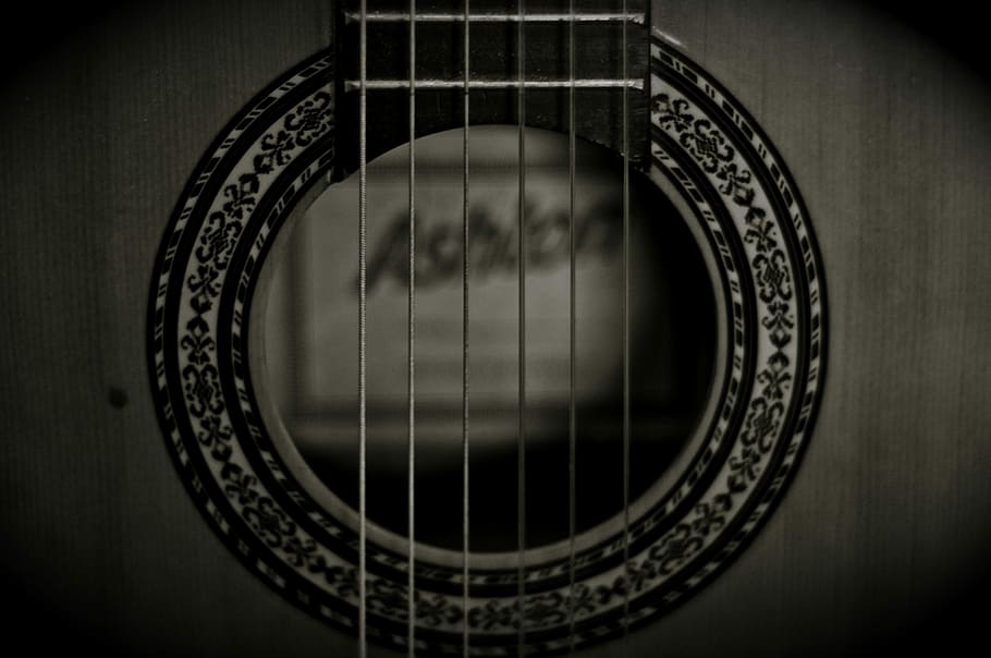 photo of grayscale guitar strings, grayscale photography of guitar strings HD wallpaper