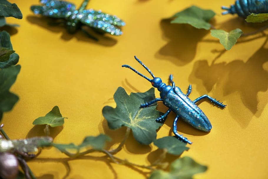 blue beetle figurine on green leaf artificial plant, bug, insect HD wallpaper