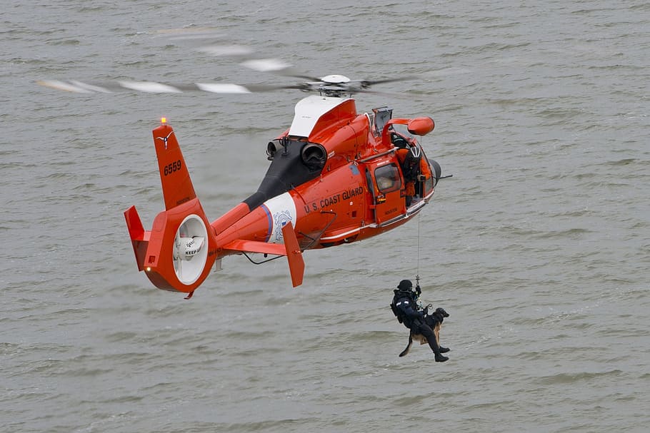 man hanging on rope saving dog under red and black helicopter HD wallpaper