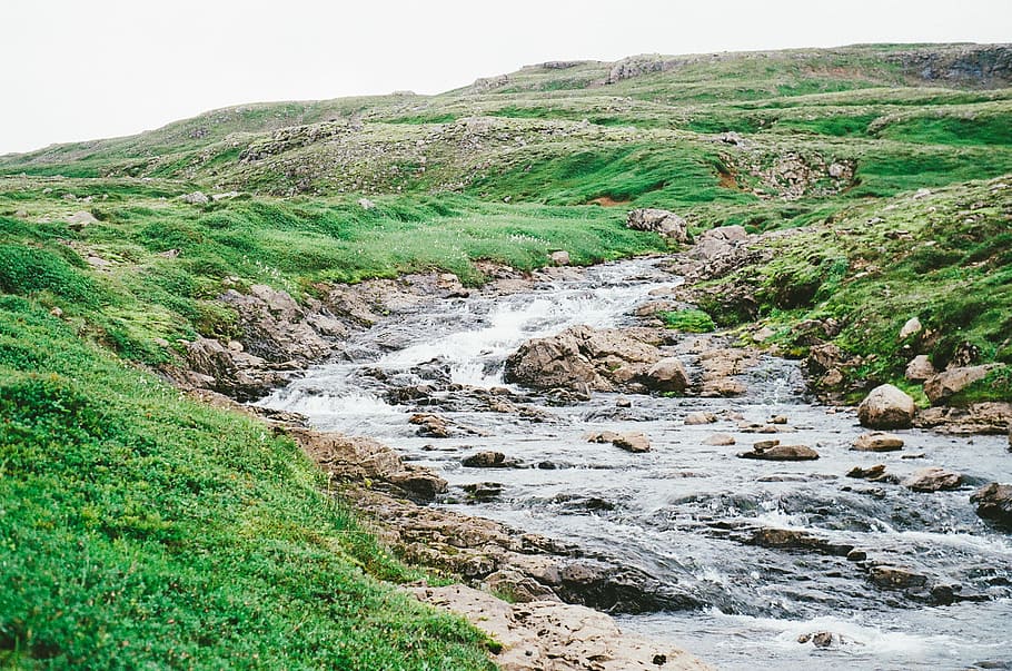nature, brook, creek, stream, water, rock, solid, beauty in nature HD wallpaper