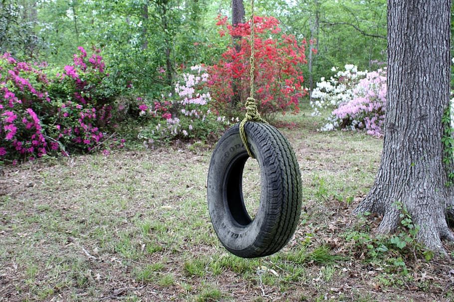 photography of tire swing, azaleas, backyard, day, outdoors HD wallpaper