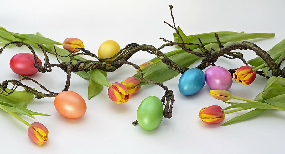 assorted-color flowers and beads decor, egg, cooked, easter, decoration, HD wallpaper