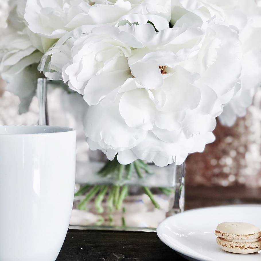 coffe mug, white flowers, macaron, flowering plant, freshness HD wallpaper