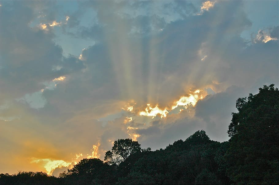 Sunset, Clouds, Outdoor, Rays, streaks, greenery, canopy, dusk HD wallpaper
