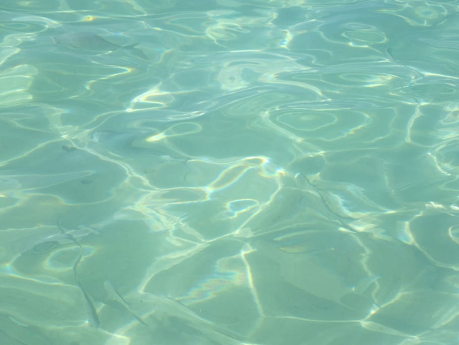body of water, ocean, clear, pool, swim, swimming, blue, reflection HD wallpaper