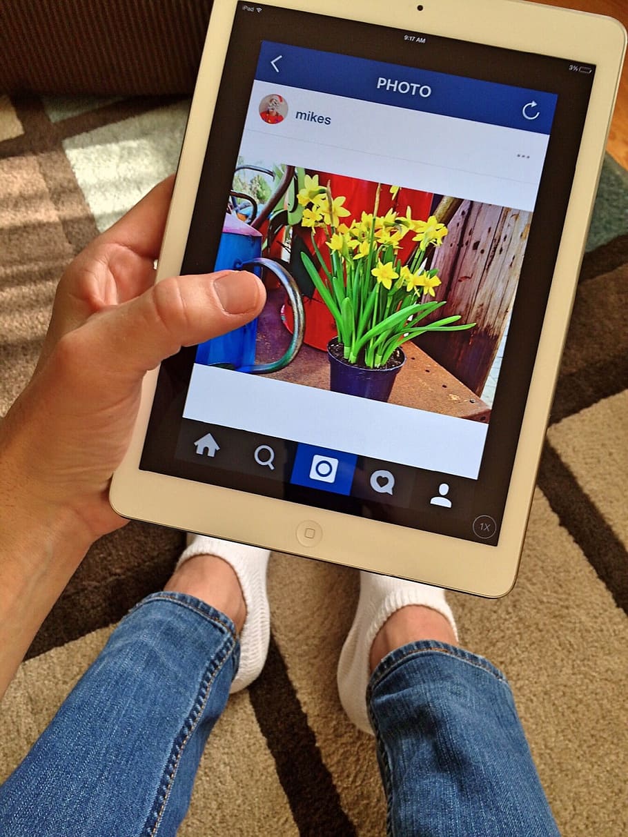 person holding iPad showing potted flowers, Instagram, Internet HD wallpaper
