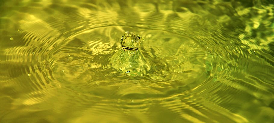 water, splash, drop, droplet, wet, macro, ripple, fresh, splash water HD wallpaper