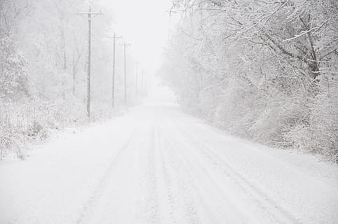 trees and road covered in snow, Winter, Background, countryside HD wallpaper
