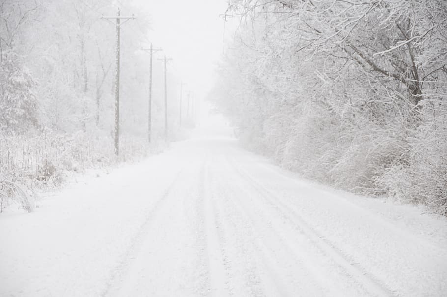 trees and road covered in snow, Winter, Background, countryside HD wallpaper