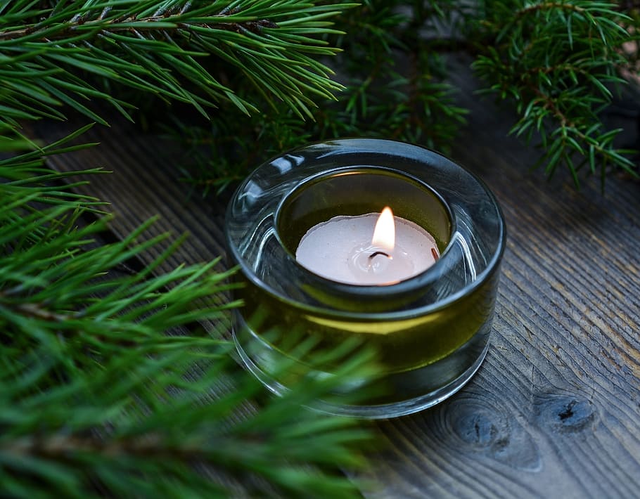 clear glass candle holder with candle near green pine plant, christmas, HD wallpaper