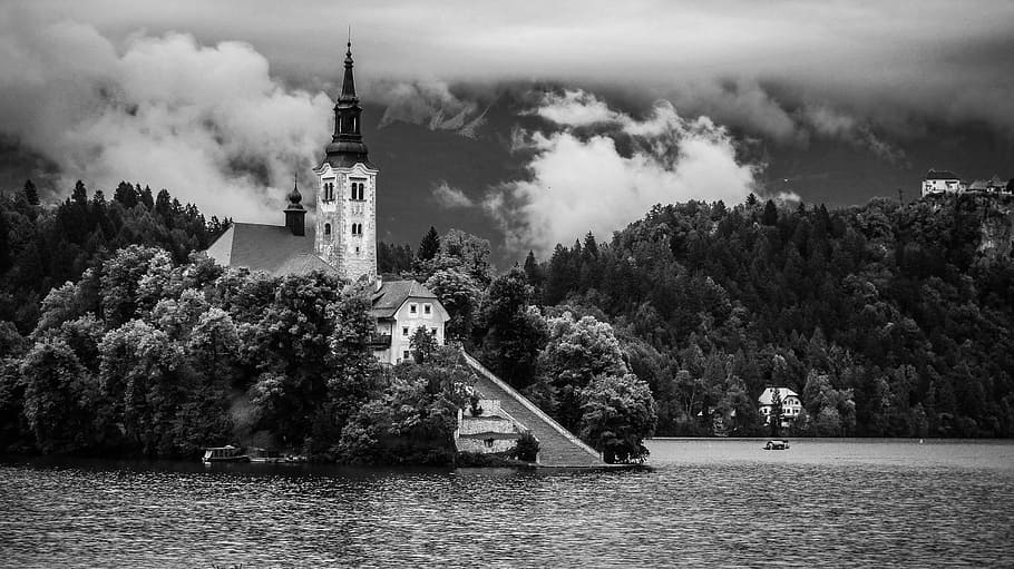 gray-scale photography of house surrounded by trees near body of water during daytime HD wallpaper
