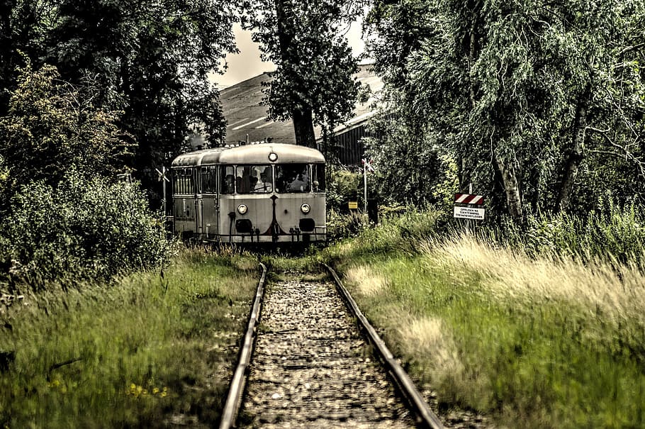railbus, train, track, railway, transport, tracks, rails, netherlands HD wallpaper