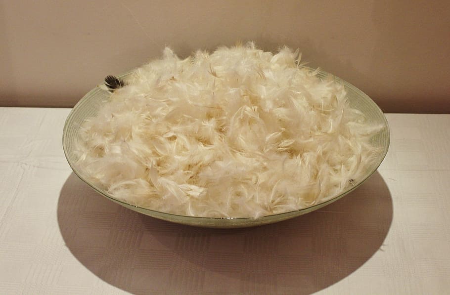 feather, slightly, white, down, fluffy, indoors, food and drink HD wallpaper