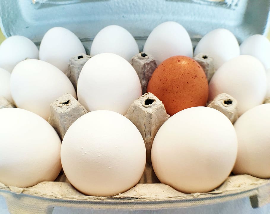 eggs, alone, crowd, egg box, food, animal Egg, farm, freshness HD wallpaper