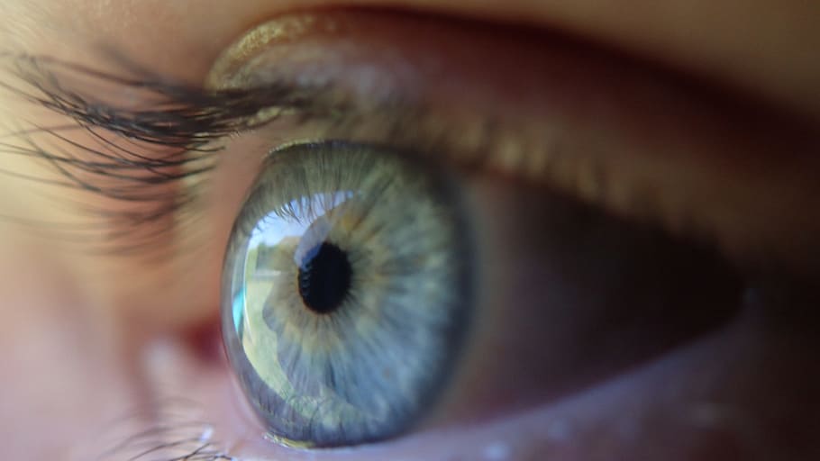 left human eye, blue eye, eyeball, eye closeup, eyesight, human body part