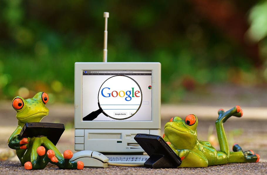 frogs using electronic devices figurines, computer, google, search