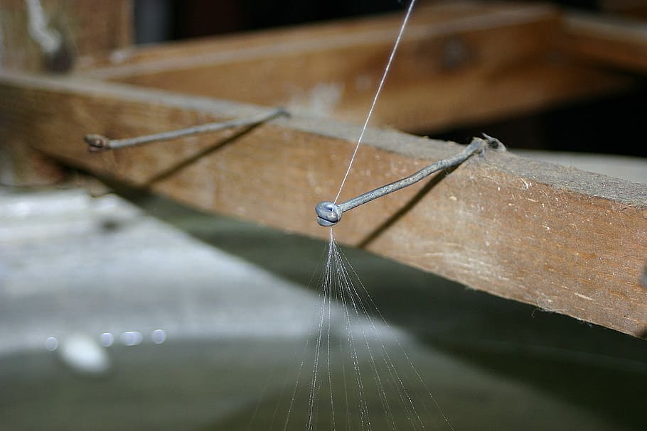 silk thread, silkworm, thread spider, turkey, nature, close HD wallpaper