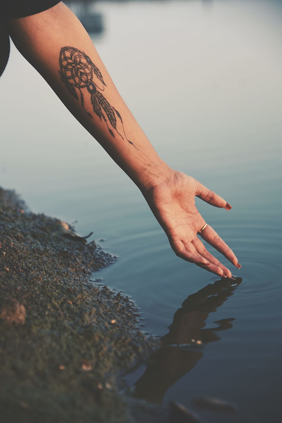 person hand reaching calm water with dreamcatcher tattoo, woman with dream catcher arm tattoo, HD wallpaper