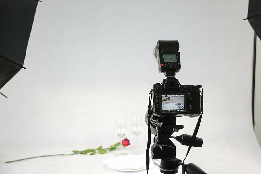 two flute glasses near rose, slr, dslr, full frame, studio, photo, HD wallpaper