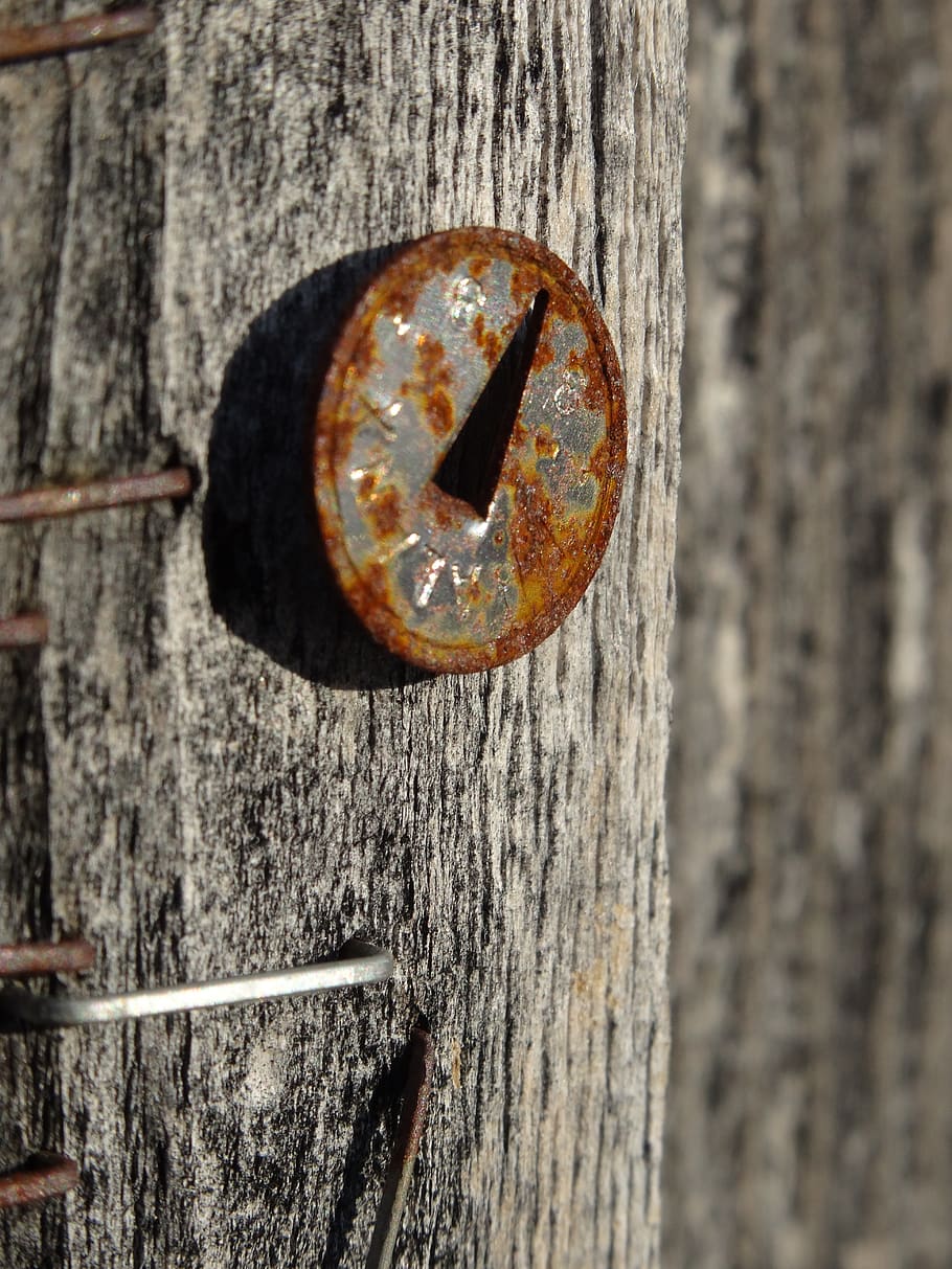 nail, wood, rust, old, memory, forget, weathered, metal, rusty HD wallpaper