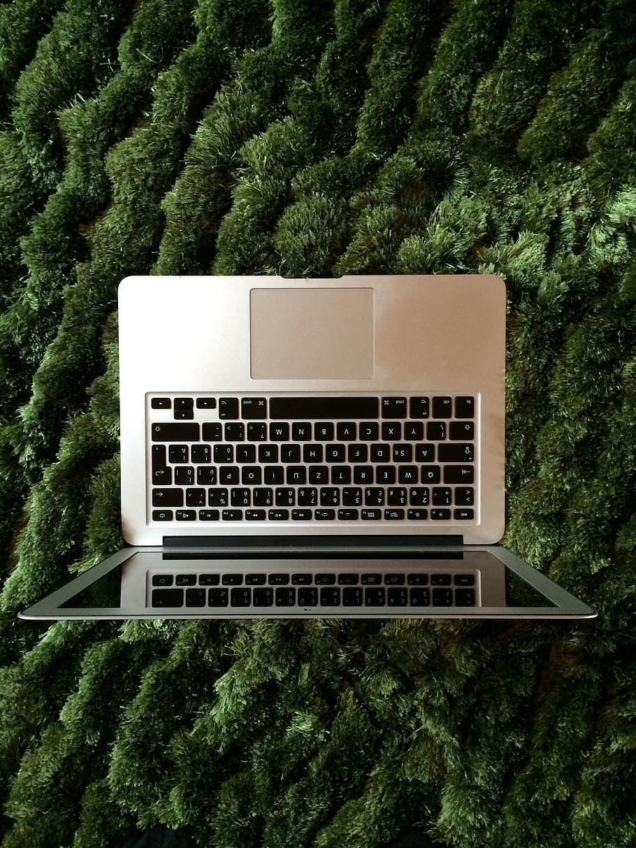 macbook, air, apple, design, tree, plant, green color, no people HD wallpaper
